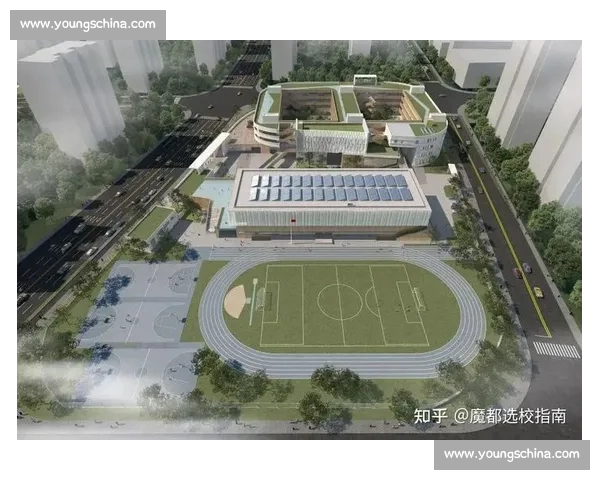 全面提升乒乓球技术与战术实战能力的系统教学指南 全面提升乒乓球技术与战术实战能力的系统教学指南